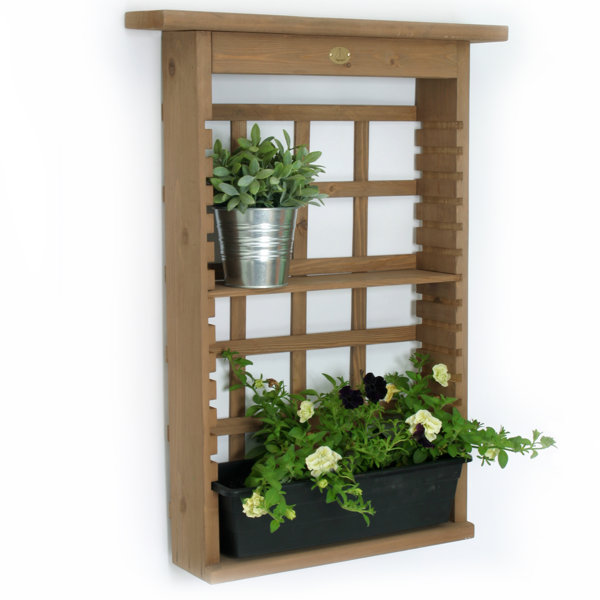 Algreen Garden View Plastic Wall Planter & Reviews Wayfair.ca